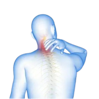 Cervical & Lumbar spondylitis