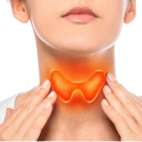 Thyroid