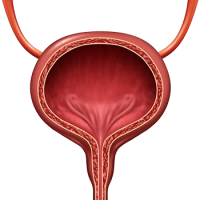 Urinary complaints